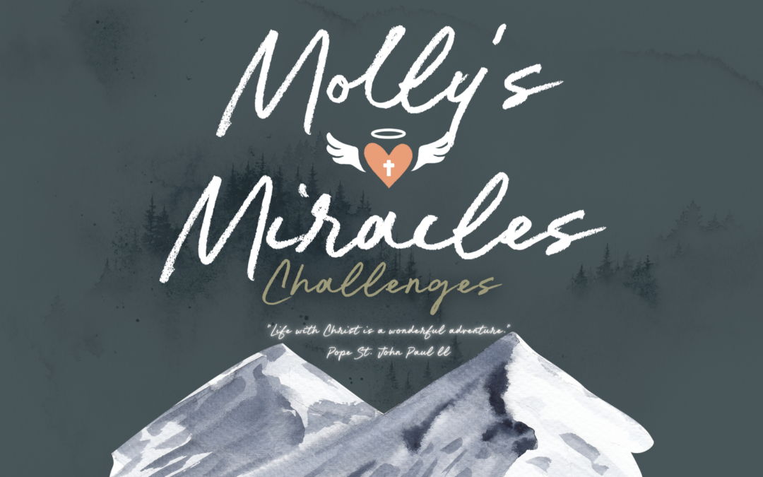 Molly’s Miracles – Challenge 1-15 Review