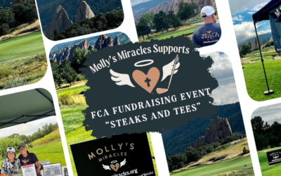 Fellowship of Christian Athletes “Steaks and Tees” Fundraising Event